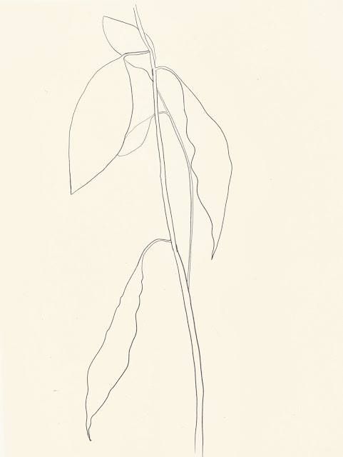 481x640 Ellsworth Kelly Avocado Leaves, 1967 Voir La Traduction Arty - Sketch Traduction