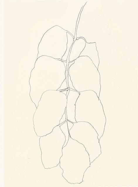 471x640 Ellsworth Kelly Branch Of Leaves, 1982 Voir La Traduction Line - Sketch Traduction