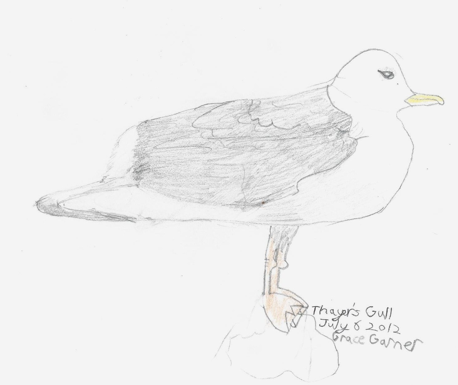 1476x1239 Sketch Tuesday Garner Goings On - Sketch Tuesday