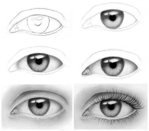 500x439 Eye Sketch Tutorial ^^ Drawings, Sketches - Sketch Tutorial
