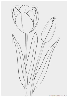 235x336 Sketch Tutorial Beginner Great How To Draw Lips Step By Step For - Sketch Tutorial Beginner