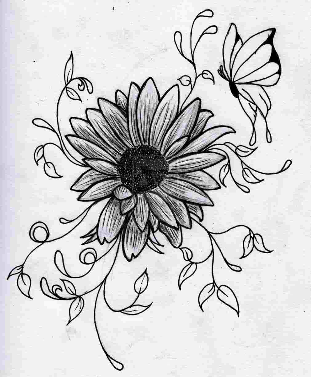 1011x1222 Easy Simple Cool Easy Flower Drawings Flower Pencil Drawing - Sketch U