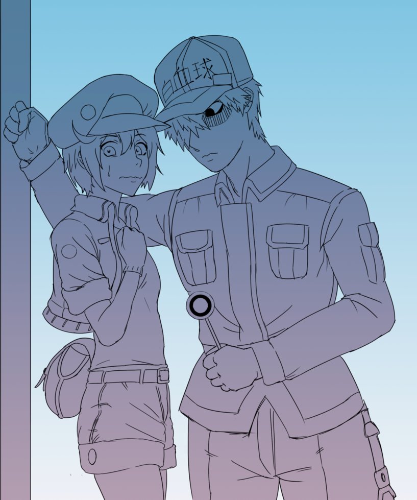 817x979 Hataraku Saibou Sketch U 1164 Ae 3803 By Motusification - Sketch U