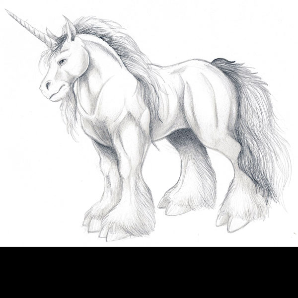 600x600 Dragonosx Sketches Unicorn - Sketch Unicorn