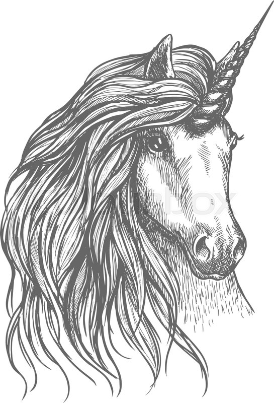 545x800 Unicorn Fantastic Horse Isolated Sketch. Head Of Magic Horned - Sketch Unicorn