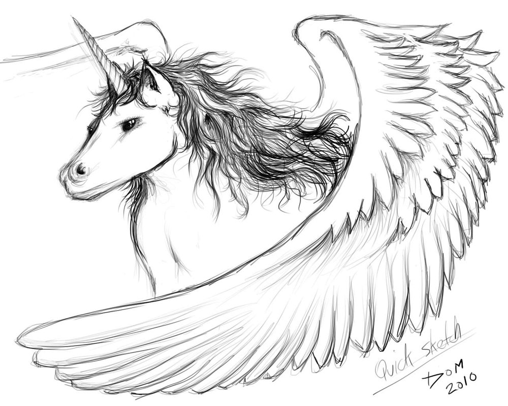 1000x800 Unicorn Sketch By Thatdomguy - Sketch Unicorn