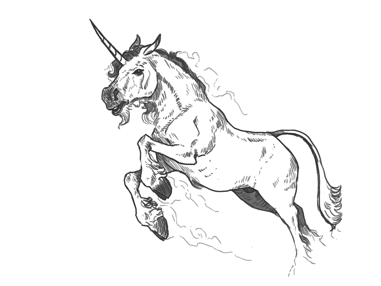 1280x960 Unicorn Sketch Weasyl - Sketch Unicorn