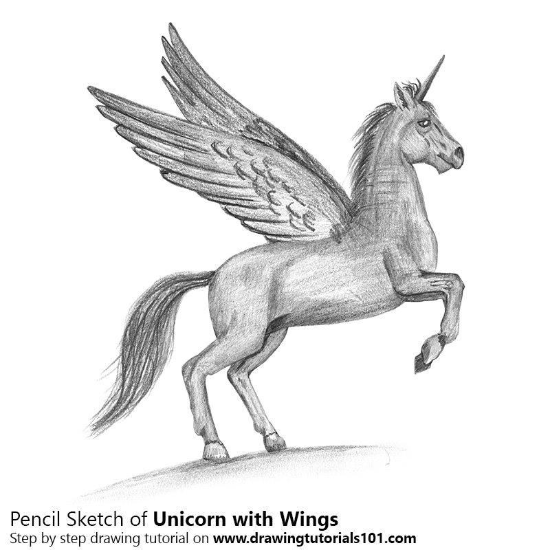 800x800 Unicorn With Wings Pencil Drawing - Sketch Unicorn