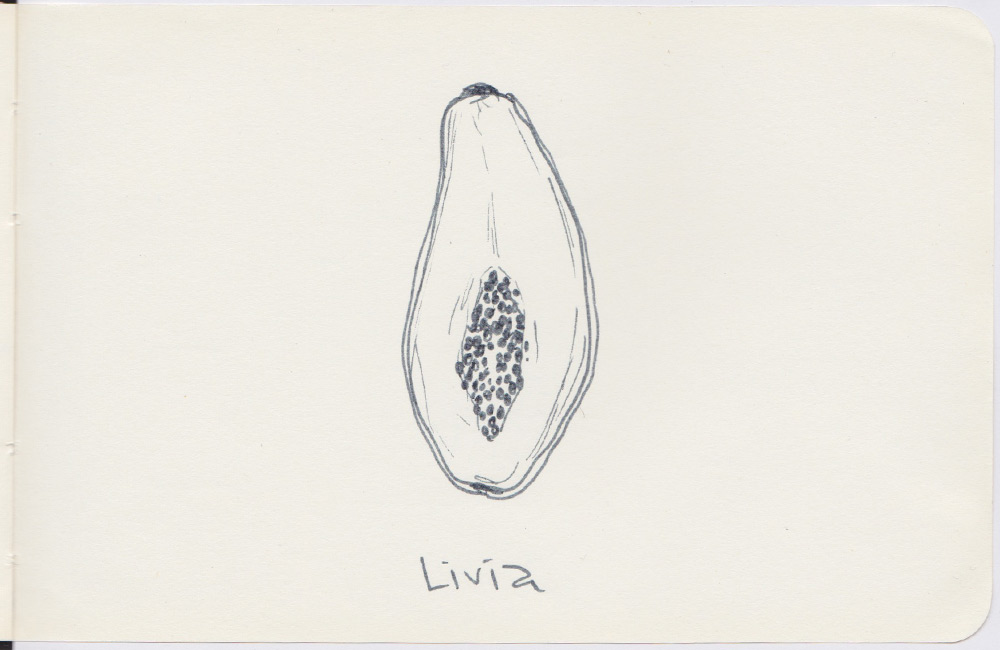 1000x650 Sketches - Sketch Urban Dictionary