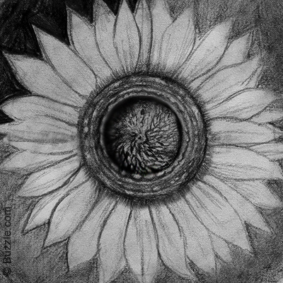 400x400 Colors Of Soot Tips On How To Draw With Charcoal - Sketch Using Charcoal Pencil