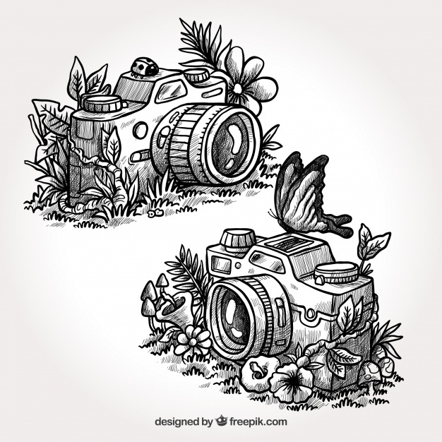 626x626 Camera Sketch Vectors, Photos And Psd Files Free Download - Sketch Vector