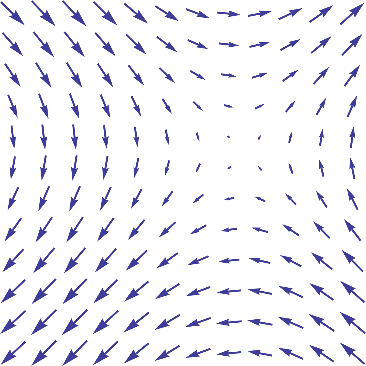 1200x1200 Vector Field - Sketch Vector Field