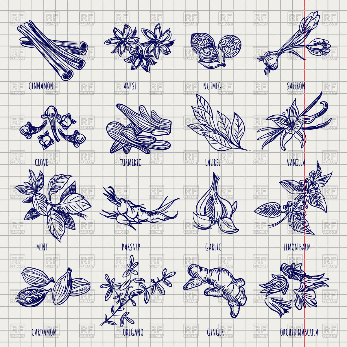 1200x1200 Hand Drawn Spices And Herbs Sketch Vector Image Vector Artwork - Sketch Vector Free