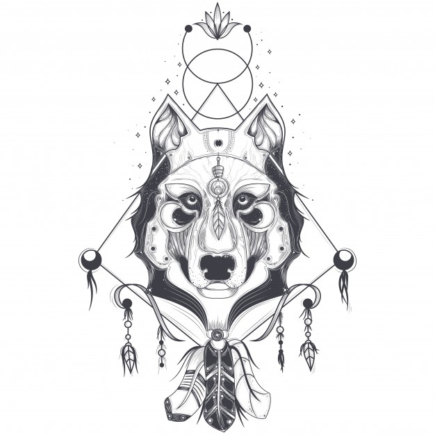 626x626 Vector Illustration Of A Front View Of A Wolf Head, Geometric - Sketch View