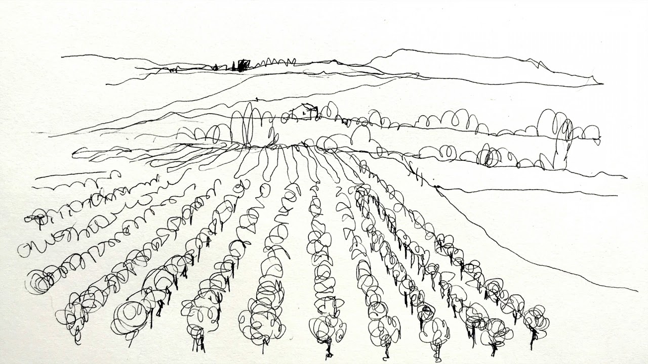 1280x720 Erin Hill Sketching Vines Tip - Sketch Vines