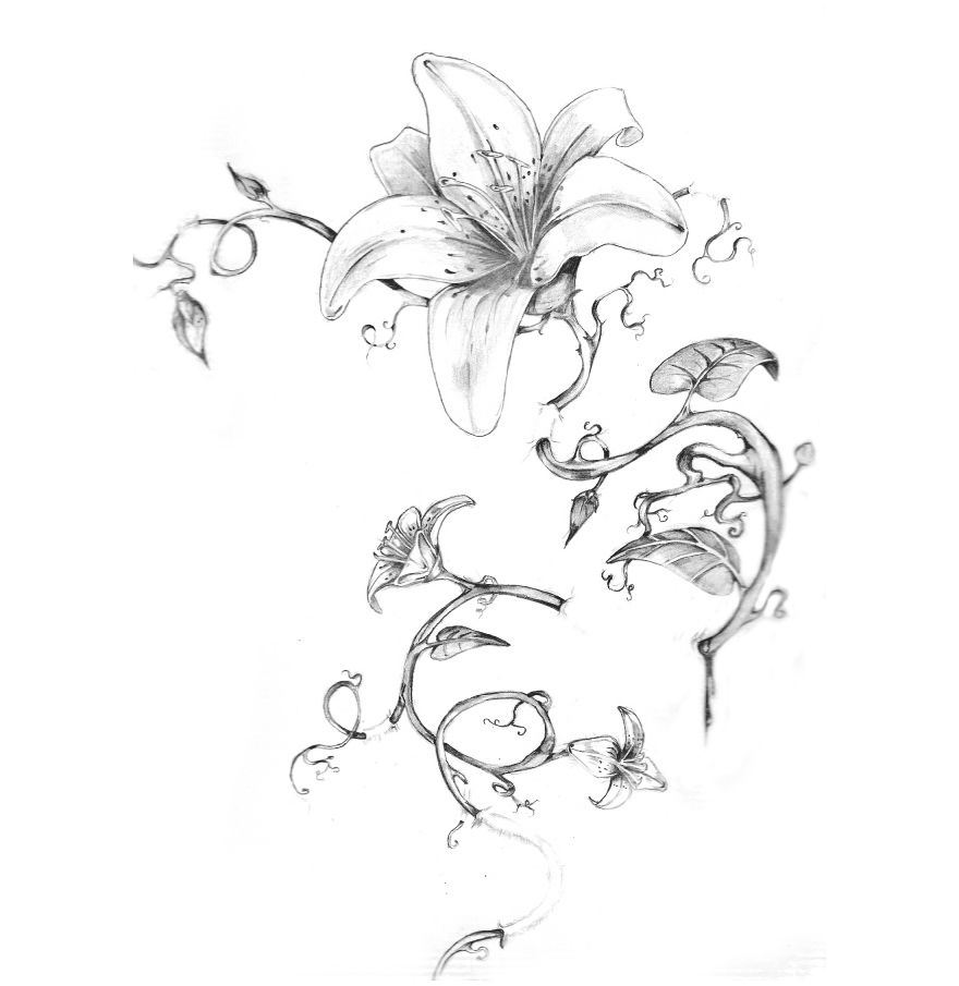 880x905 Flowers And Vines Tattoo Designs Flower Vine Tattoos Flower - Sketch Vines