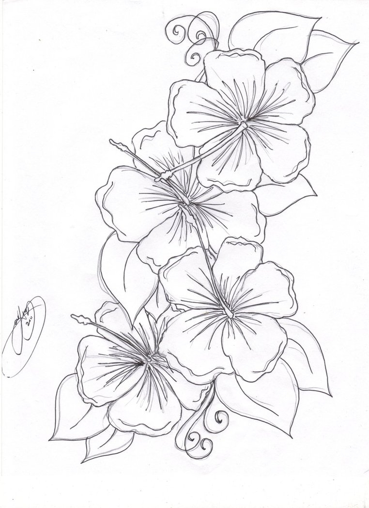 762x1049 Flowers With Vines Tattoos Simple Flower And Vine Sketch Hibiscus - Sketch Vines