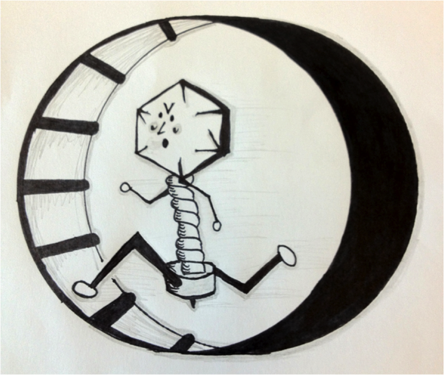 902x761 This Is Not An Article About Running Benchfly - Sketch Virus