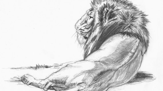 570x320 Pencil Sketch Wallpaper Pencil Art Wallpapers - Sketch Wallpaper