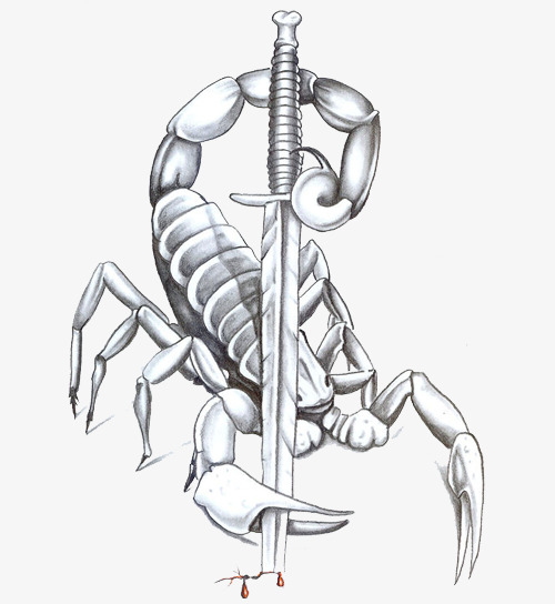 500x544 Sketch Wind Scorpion Material, Scorpion, Leave The Material, Png - Sketch Wind