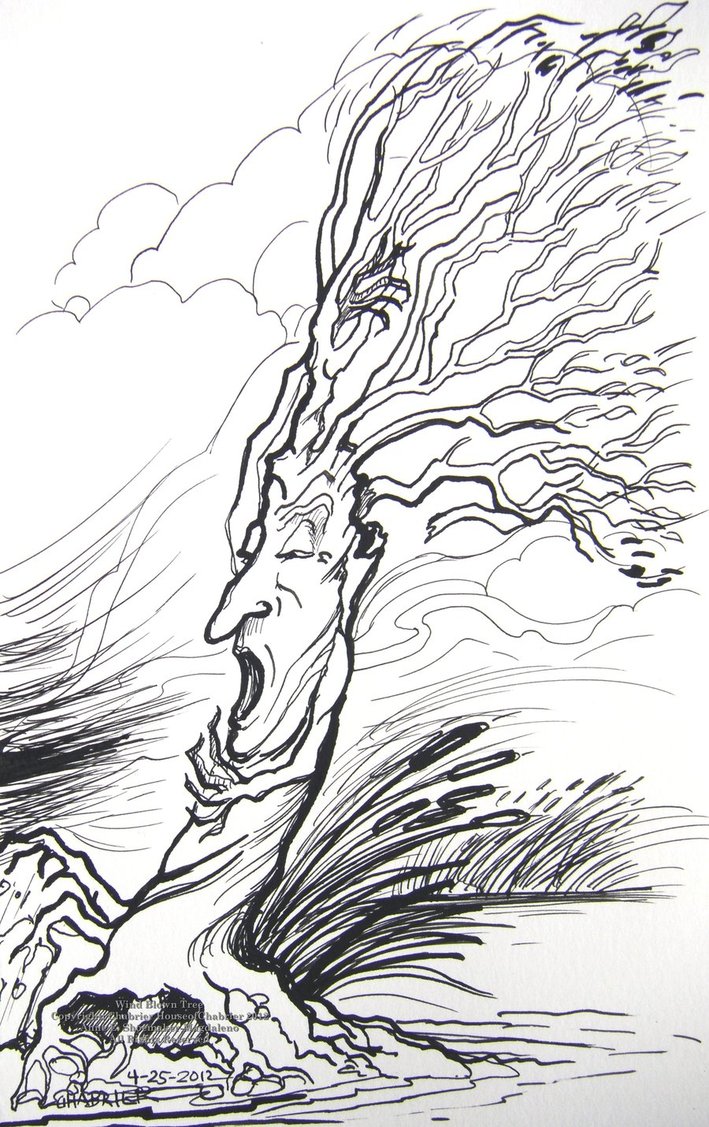 709x1127 Wind Blown Tree Sketch By Houseofchabrier - Sketch Wind