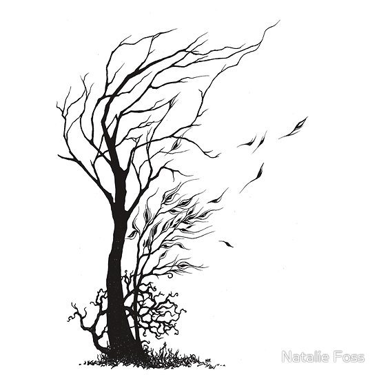 550x550 Drawn Wind Tree - Sketch Wind