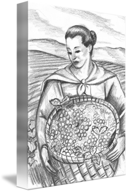 432x650 Wine Virgin Sketch By Brad Smith - Sketch Wine