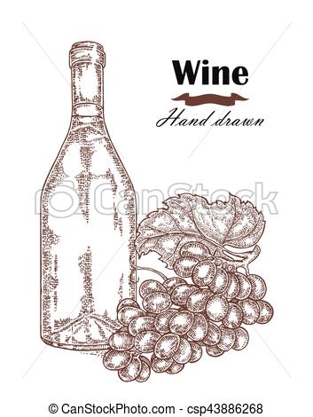353x470 Hand Drawn Wine Bottle With Grape Vintage. Vector Sketch. - Sketch Wine