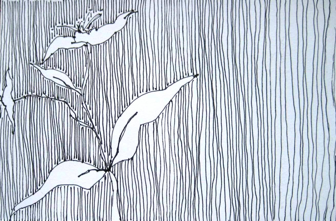 1312x865 Between The Lines Sandi Hester - Sketch With Lines