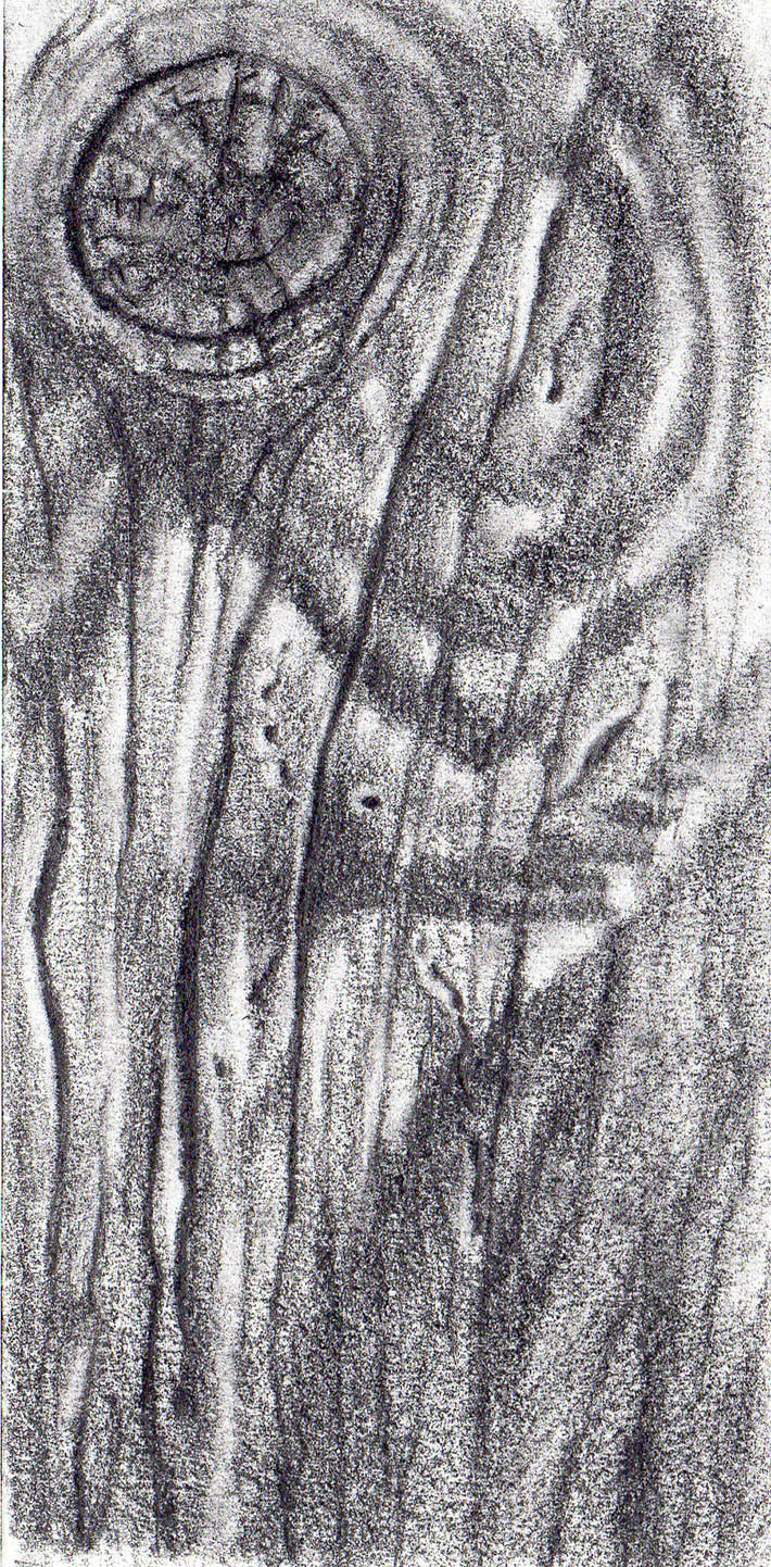 710x1442 How To Draw Wood In 4 Simple Steps - Sketch Wood