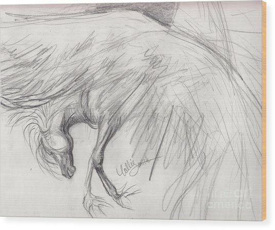 536x447 Pegasus Sketch Drawing By Callie Smith - Sketch Wood