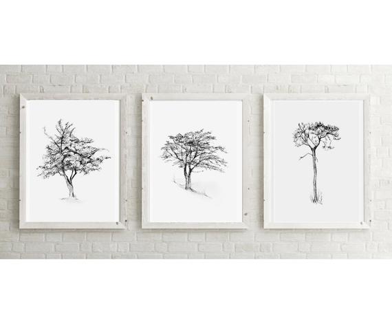 570x471 Set Of 3 Giclee Art Prints Of Pencil Drawings Of Trees Zen Etsy - Sketch Zen