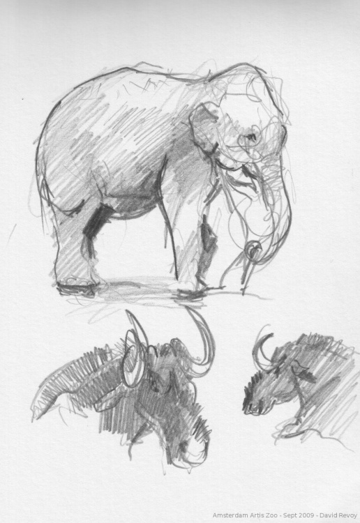 516x750 Sintel, The Durian Open Movie Project Blog Archive Zen - Sketch Zen