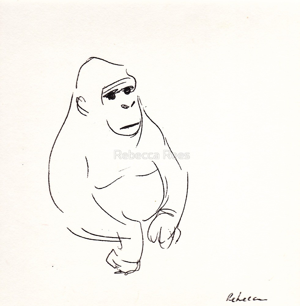 981x1000 Gorilla Sketch - Sketch Zoo