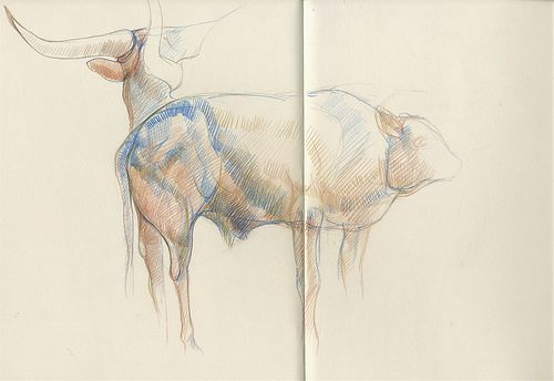 500x344 Pencil Sketch , Zoo Planckendael - Sketch Zoo