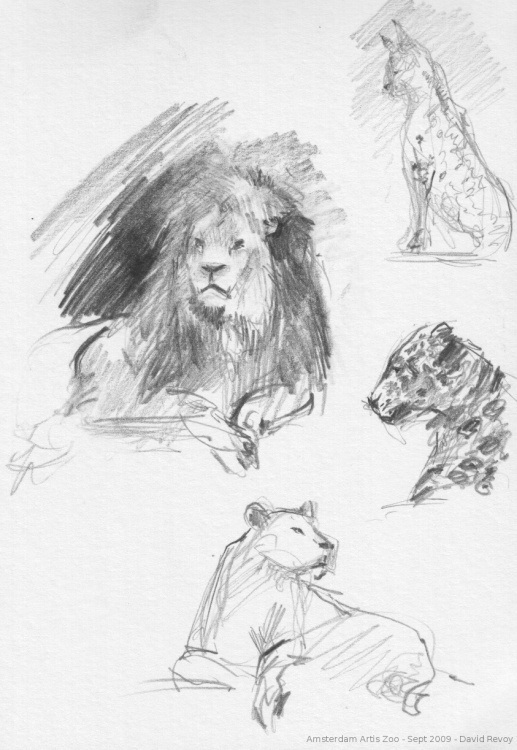 517x750 Sintel, The Durian Open Movie Project Blog Archive Zen - Sketch Zoo