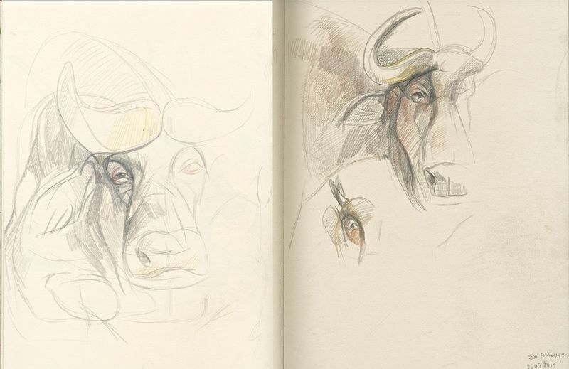 800x519 Sketch Zoo Antwerp Anys Pencil Sketch Sketchy Books - Sketch Zoo