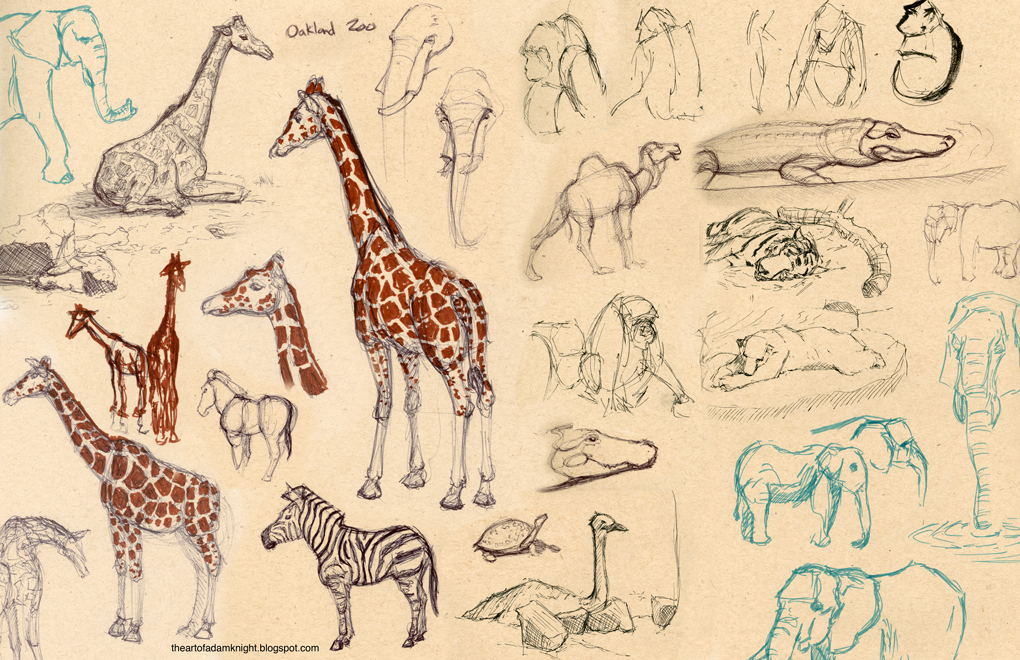 1020x660 Zoo Sketches 01 By Theartofadamknight - Sketch Zoo