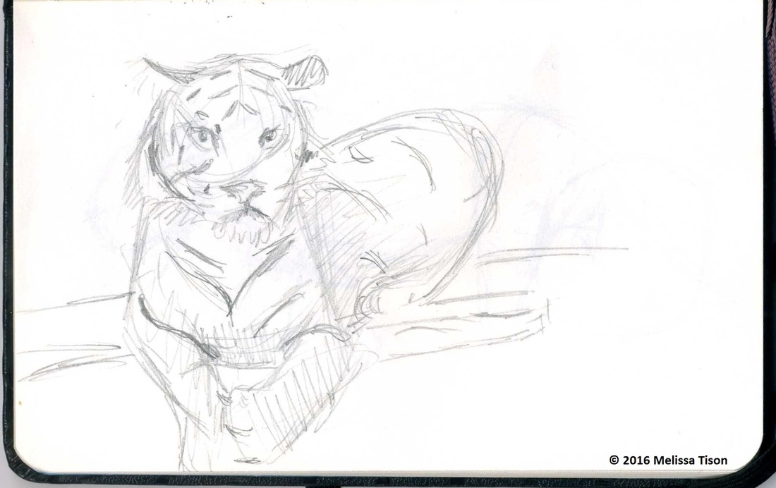 1100x692 Zoo Sketch - Sketch Zoo