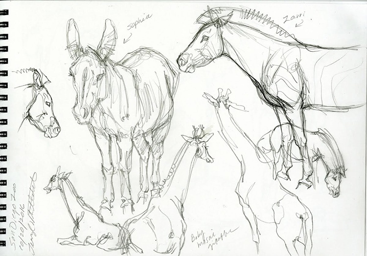 750x524 Drawing Creatures - Sketch Zoo