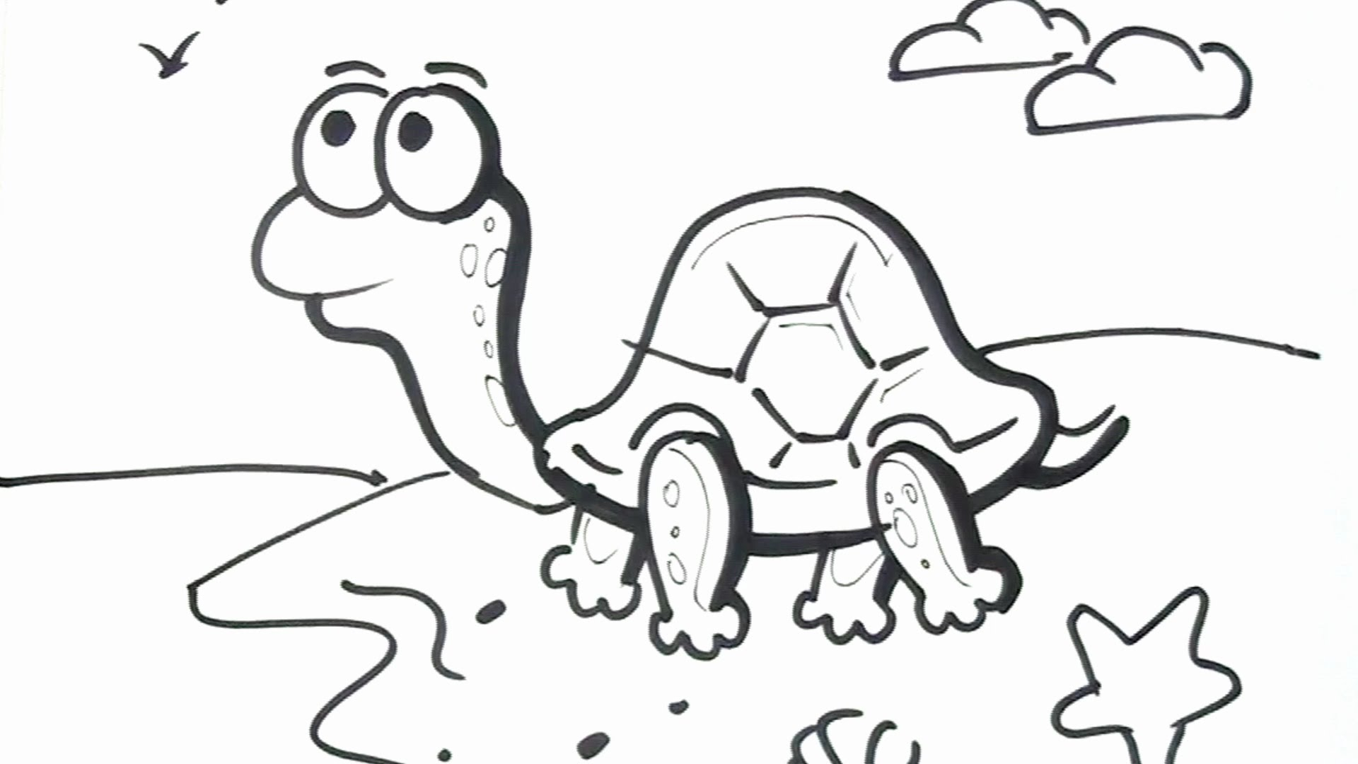 1920x1080 Cartoons Sketches For Drawing Art For Kids How To Draw A Turtle - Sketches For Children