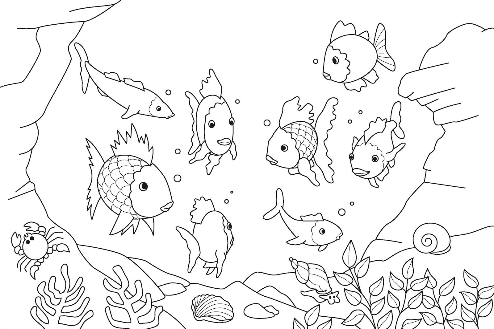 1600x1068 Sketching For Children Des516 Ppd Projects Pro Five Sketches - Sketches For Children