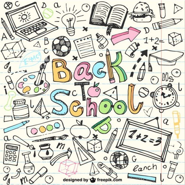 625x626 Back To School Sketches In Notebook Vector Free Download - Sketches For School