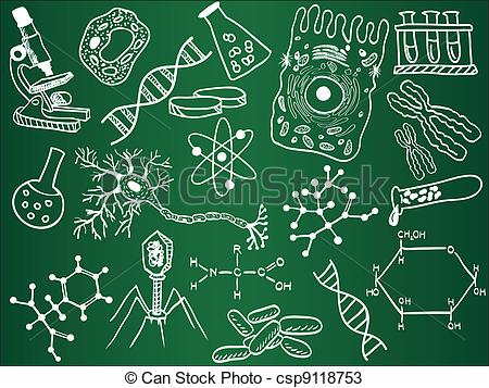 450x357 Biology Sketches On School Board. Vector Illustration. - Sketches For School