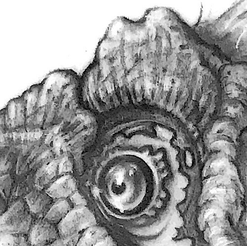 500x498 Fabiopastori Black And White Sketches - Sketches In Black And White