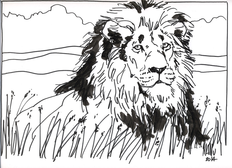 800x581 Black Amp White Speed Sketches Manny Carrasco - Sketches In Black And White