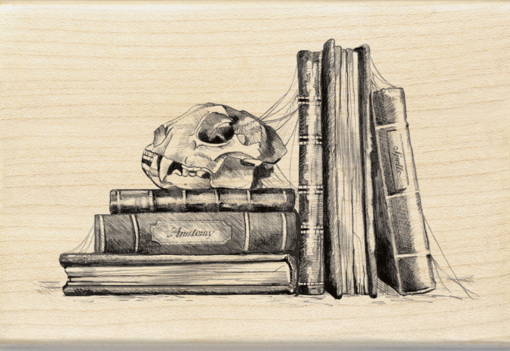 727x500 Inkadinkado - Sketches Of Books