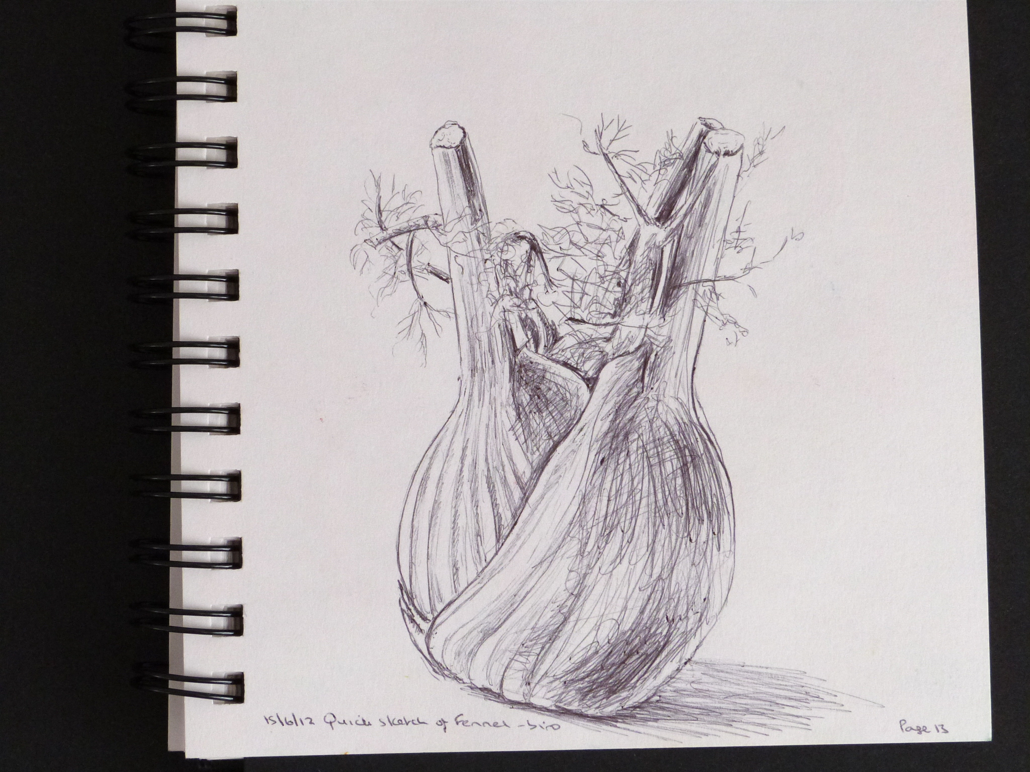 2048x1536 More Sketches From Sketch Books Ocadrawing1log - Sketches Of Books
