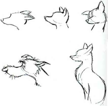 425x420 Animal Sketches - Sketches Of Disney