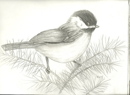 432x317 Drawn Nature Simple - Sketches Of Nature